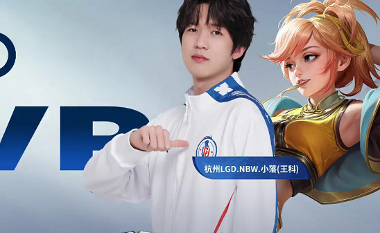 辉煌的成绩 辉煌的成绩