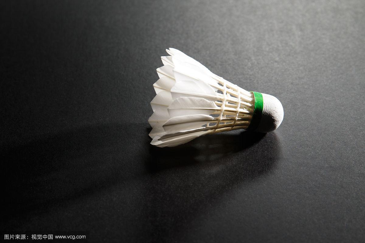 荷甲的成功 荷甲的成功